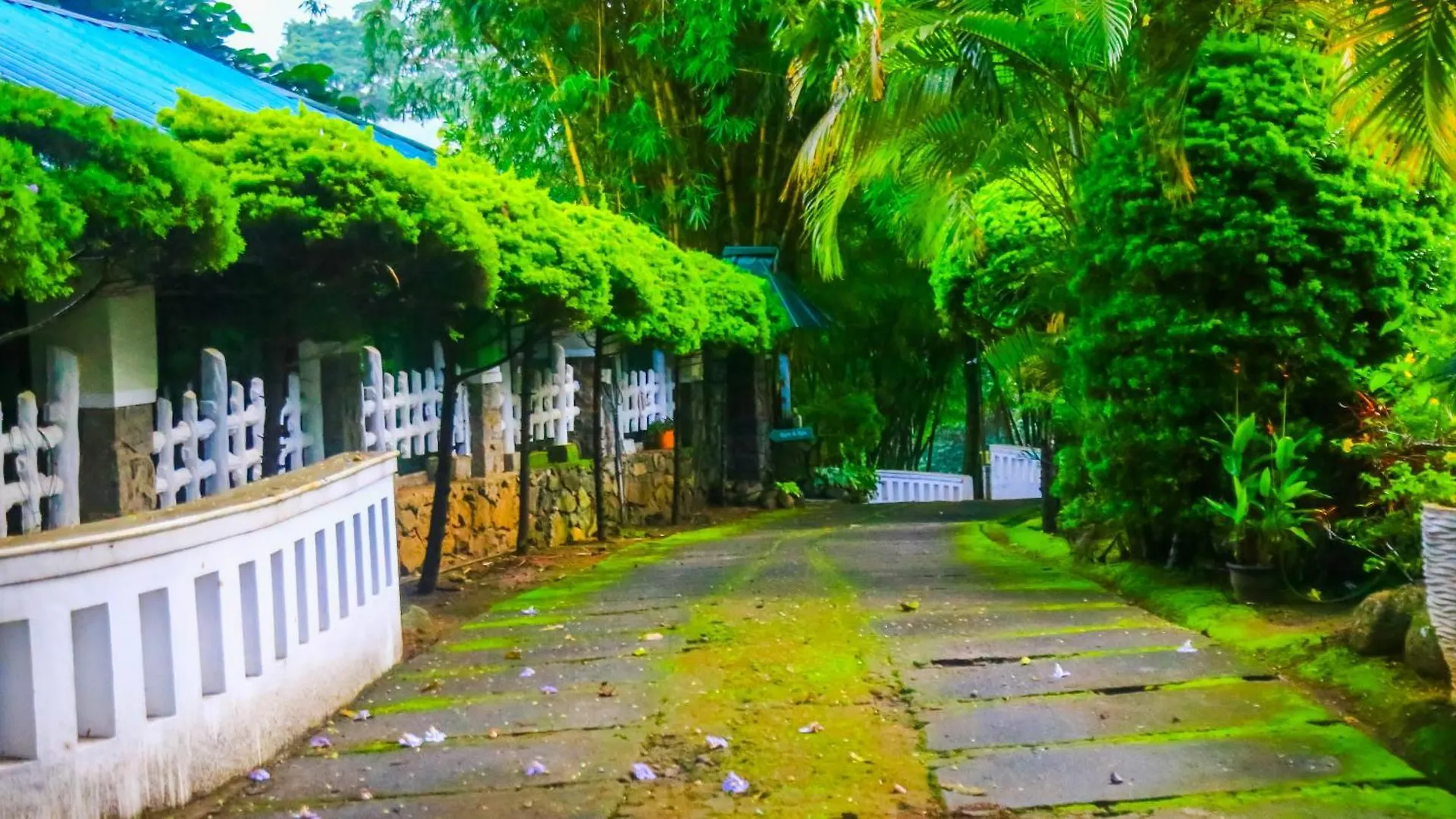 Hotel Spring Muunnar, Munnar Resort