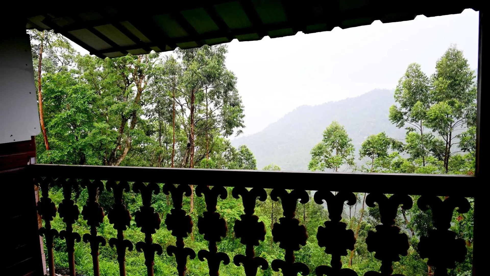 Hotel Spring Muunnar, Munnar 4*,  India