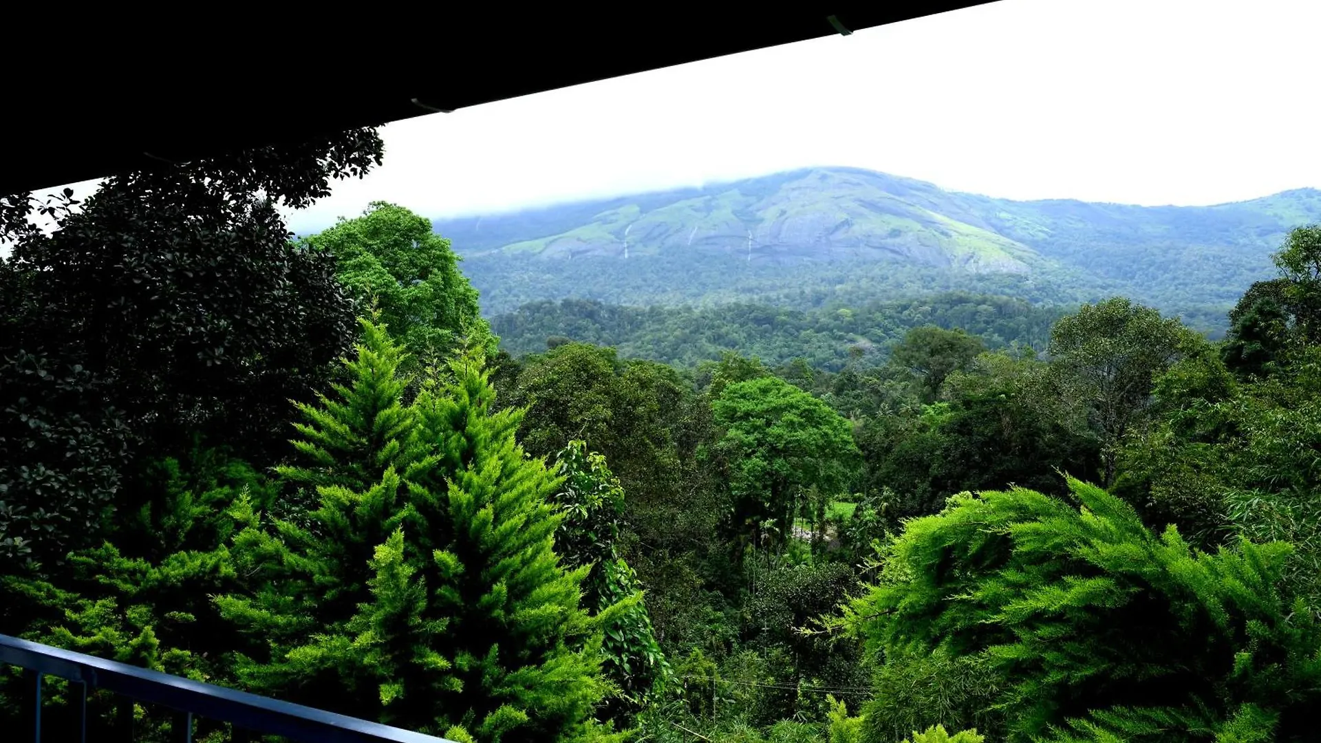 Hotel Spring Muunnar, Munnar Resort