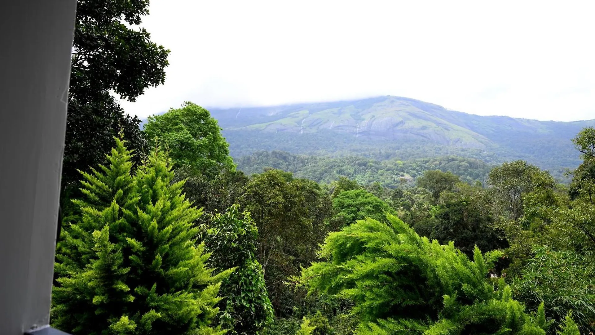 Resort Hotel Spring Muunnar, Munnar